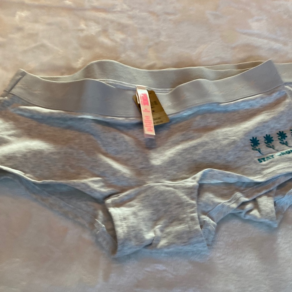Two pairs of Shorty style panties by pink new